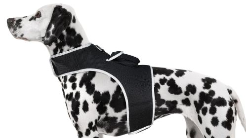 Portable Dog Tracking GPS GSM Locating Device Supports Geo-Fencing NIB Size:XS