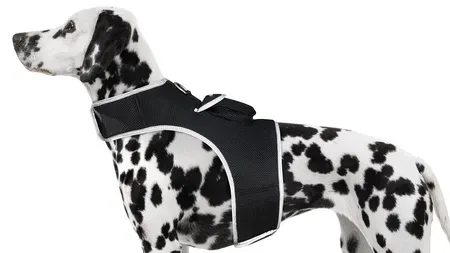 Portable Dog Tracking GPS GSM Locating Device Supports Geo-Fencing NIB Size:XS